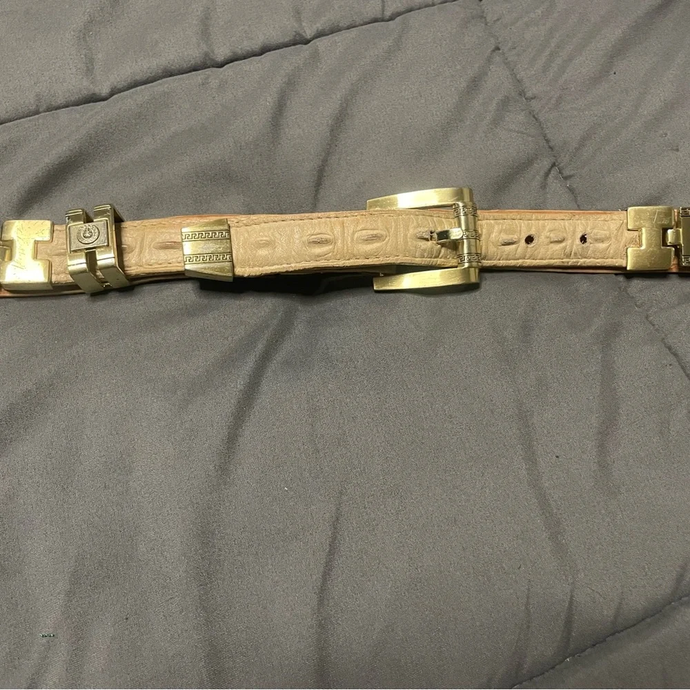 Hornback Alligator Belt Gold Lion hardware kids size 28